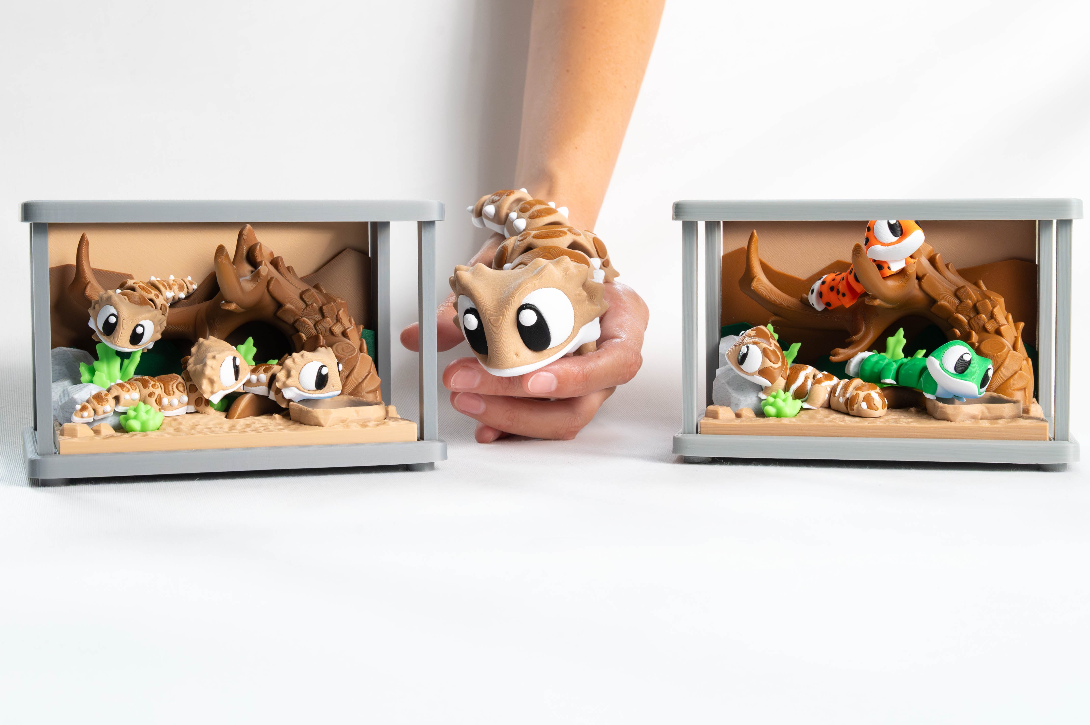 Both Sets | and Biggly Beardie