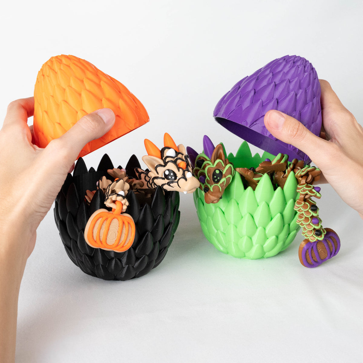 Both Pumpkins | Regular & Eggs