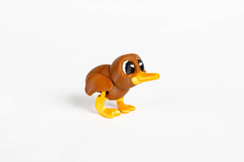 Kiwi Bird : Brown Woodland Forest Wigglitz