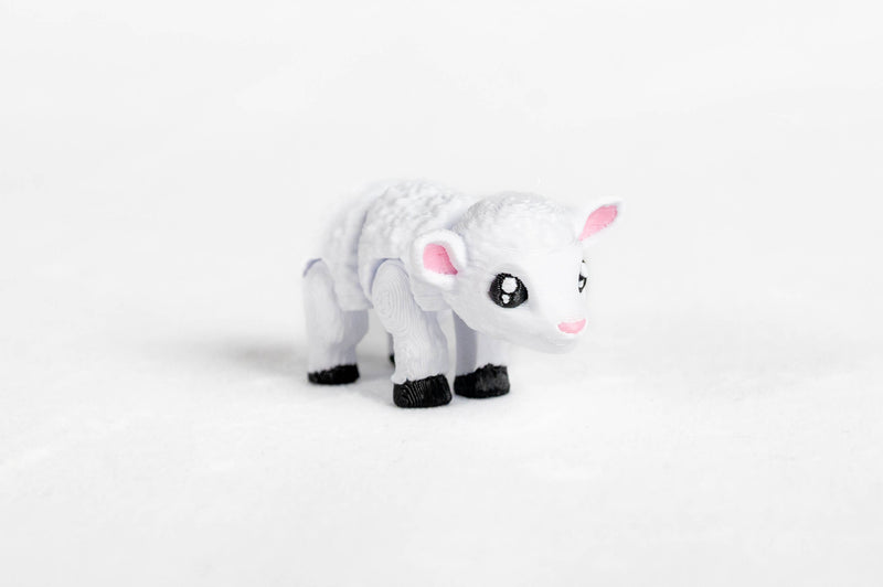 Sheep : White Lamb Farm Wigglitz