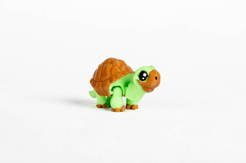 Tortoise : Green Turtle Reptile Wigglitz
