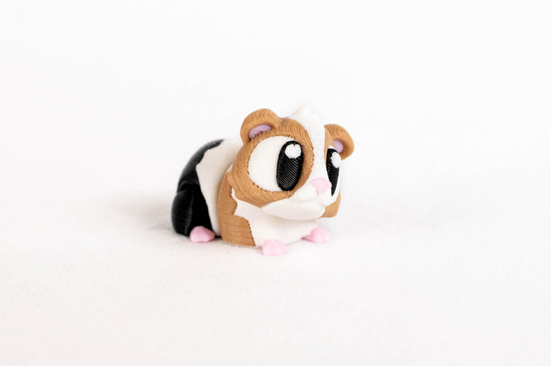 Guinea Pig : Brown Black Mamal Pet Cavy Wigglitz