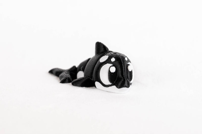 Orca : Killer Whale Sea Ocean Black White Mamal Wigglitz