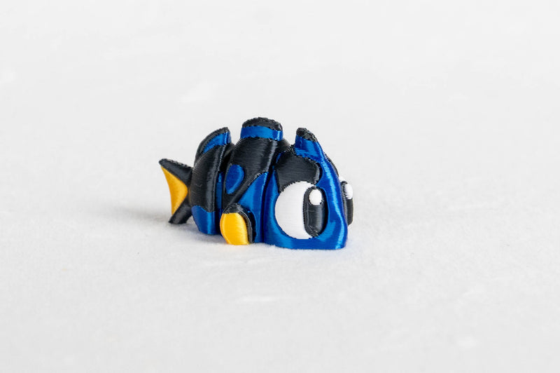 Blue Tang Surgeonfish : Doris Aquarium Wigglitz