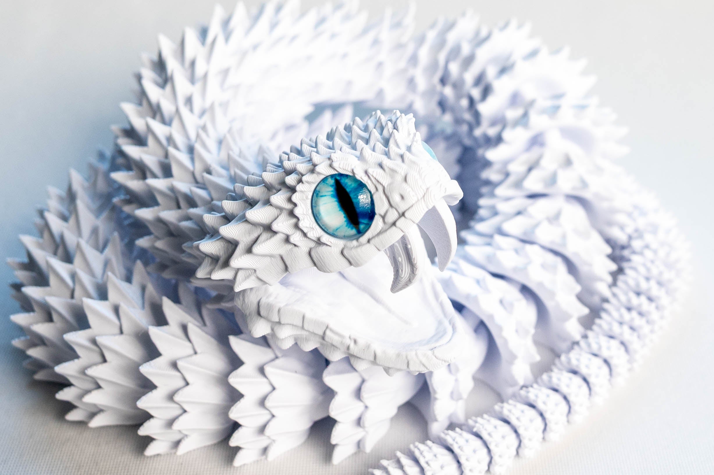 Pure White | Bush Viper Snake