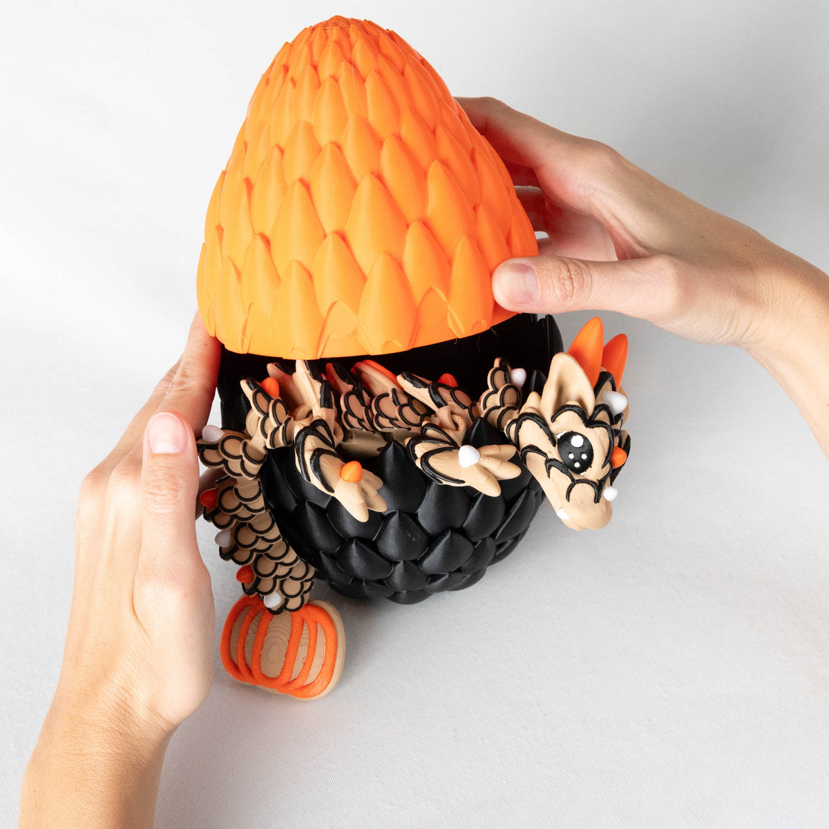 Orange | Large & Egg
