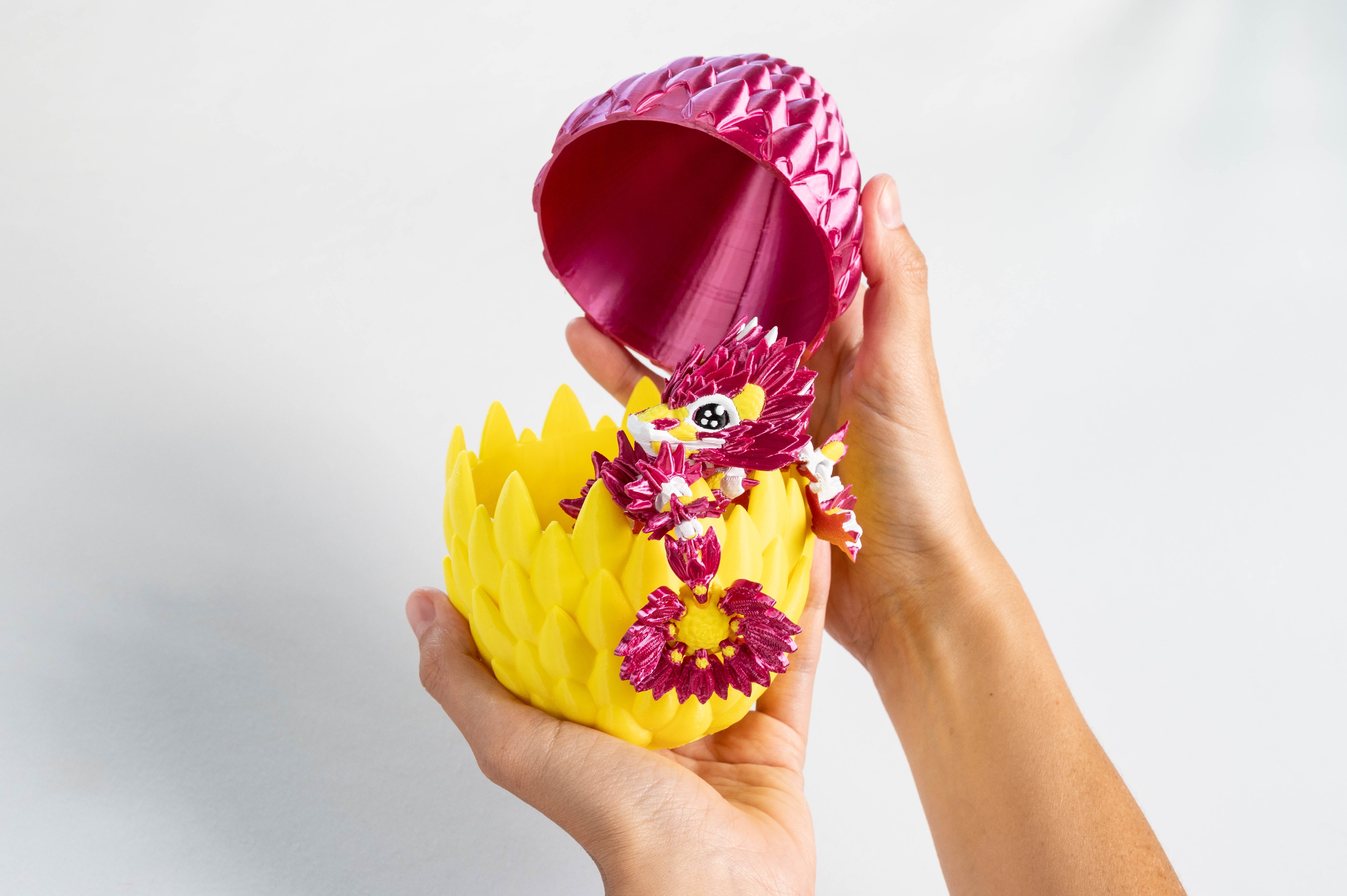 Summer | & Dragon Egg