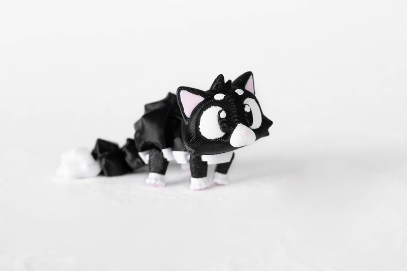 Big-Eyed Cat : Black Cat House Pet Wigglitz