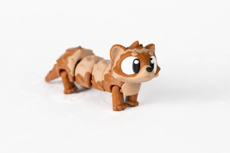 Ferret : Mamal House Pet Wigglitz