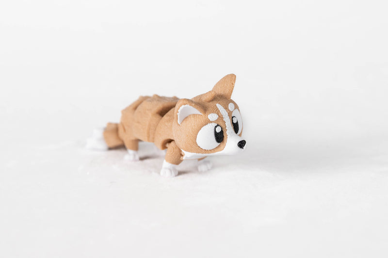 Corgi : Welsh Corgi Dog Pet Wigglitz