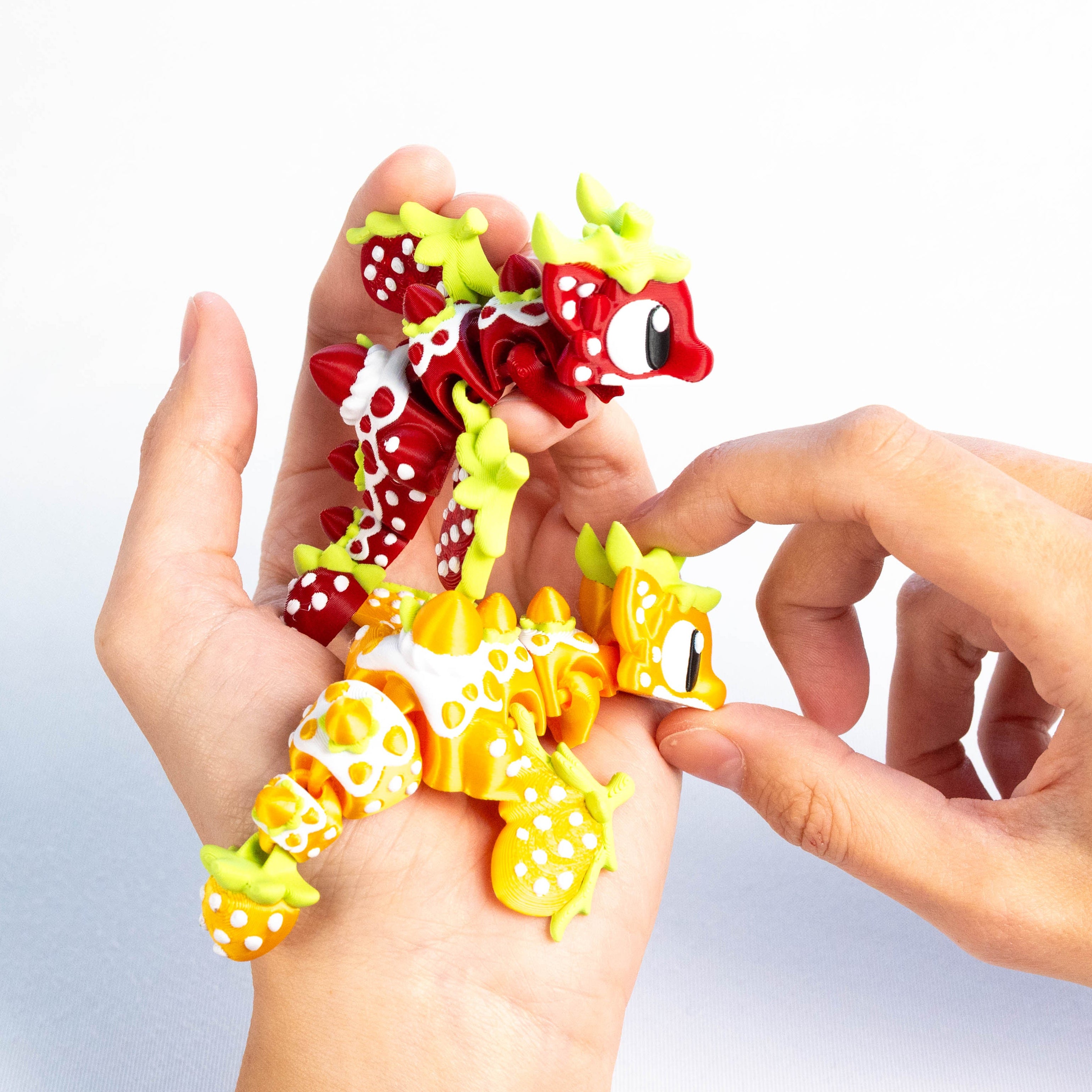Both Dragons