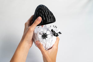 Monochrome / Small in a dragon egg