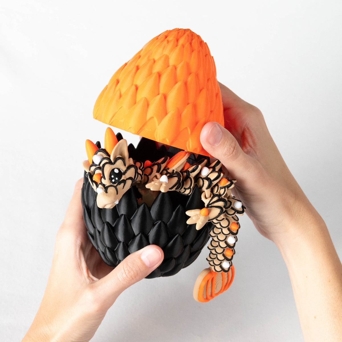 Orange | Regular & Egg