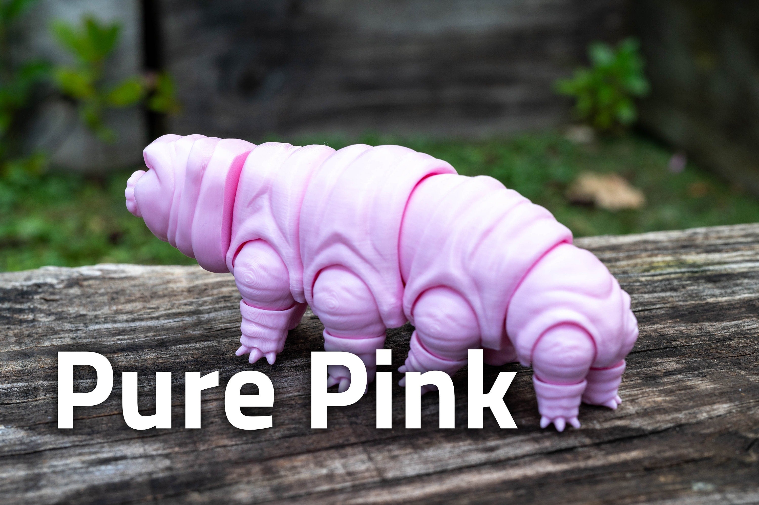 Tardigrade | Water Bear | Moss Piglet | Fidget Toy | Fully Articulated | 3D Printed